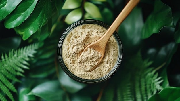 7 Things You’re Missing in Organic Protein Powder