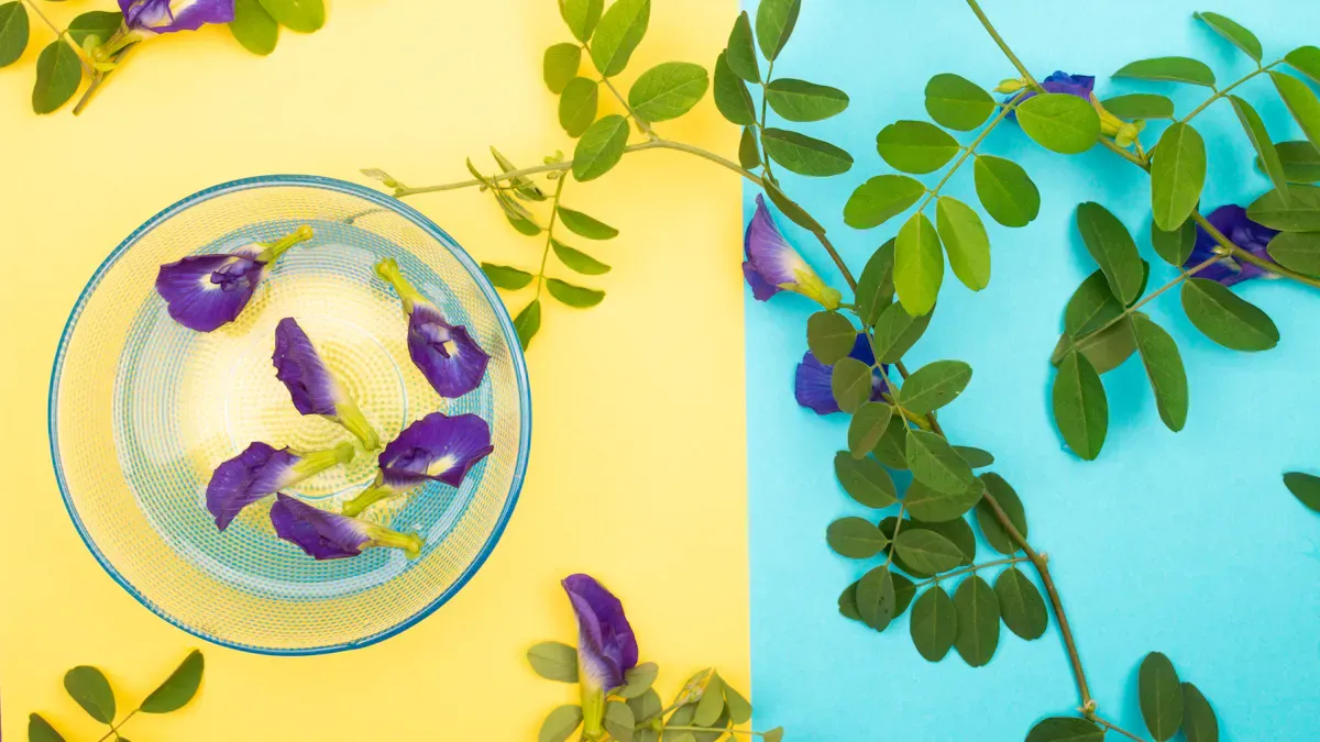 Does butterfly pea flower powder help you sleep?